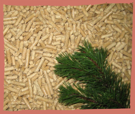 Гранулы топливные